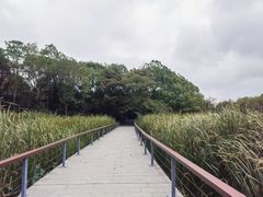 -长广溪湿地公园