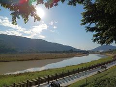 -风云岭森林公园