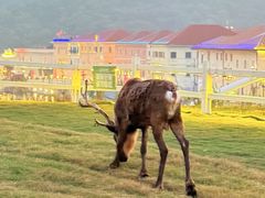 -华谊兄弟（长沙）电影小镇