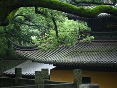 -普陀山风景名胜区-法雨禅寺