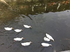 -北京水岸山吧度假村(雁栖镇店)