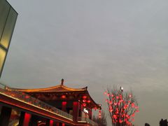 -大唐博相府酒店·陕西官府菜