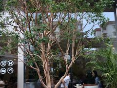 -Peet's 皮爷咖啡(海雅缤纷城店)