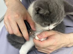 -达爱动物医院·犬猫分区·CT·复杂眼科(远洋山水分院)