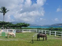 -三亚亚龙湾天域度假酒店