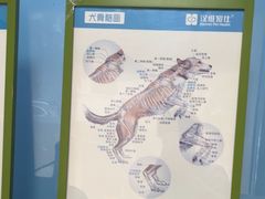 -半岛宠物医院24小时(白果林店)