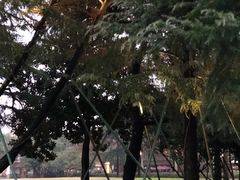 -西湖天地