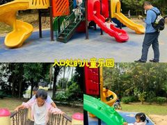 -滴水岩森林公园