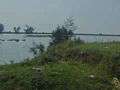 -北海金海湾红树林生态旅游区