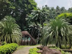 -深圳仙湖植物园