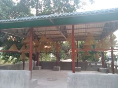 -凤凰山公园-龙王古庙