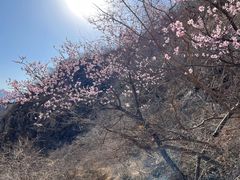 -圣莲山风景区
