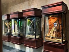 -帕帕拉兹宠物(亚洲旗舰店)