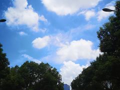 -古乐牛香·鲜牛肉牛杂火锅(新区店)