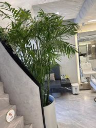-简法造型·品牌形象店
