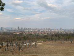 -南京市江宁方山