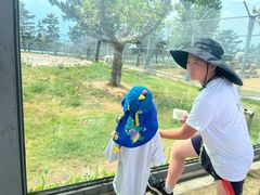 -西霞口神雕山野生动物世界