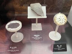 -河姆渡遗址博物馆