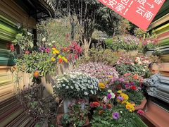 -乡村小榭饭店