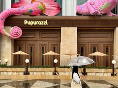 -帕帕拉兹宠物(亚洲旗舰店)