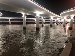 -演武大桥观景平台