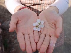 -广州市流溪河国家森林公园