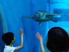 -北戴河圣蓝海洋公园