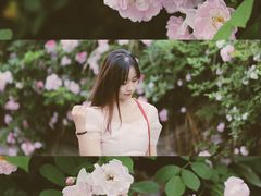 -白鹭湾湿地公园