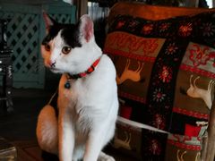 -BUND·FIVE外滩5号(天际店)