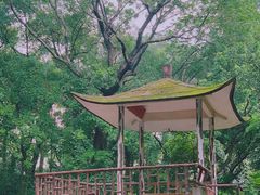 -广州兰圃