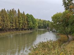 -江滩湿地公园