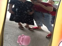 -老木棉·匠园