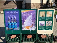 -富田农场