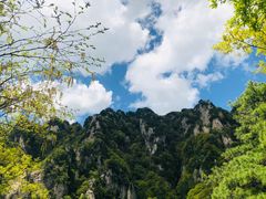 -王顺山国家森林公园