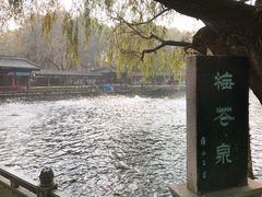 -百脉泉景区