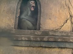 -辛玛王国游乐园