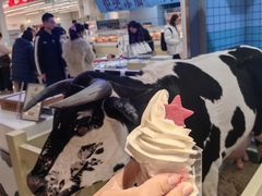 -红星前进面包牛奶公司(君太店)