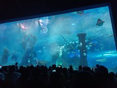 -哈尔滨波塞冬海底世界