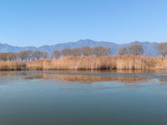 -野鸭湖国家湿地公园