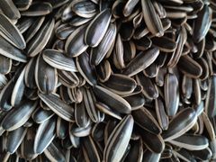 原味瓜子-栗满秋(燕丰西坝河店)