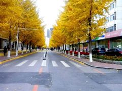 -东北大学(南湖校区)
