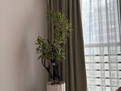 -争渡心理咨询全国连锁(福田店)