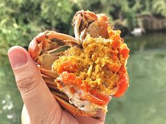 -欢乐蟹庄·精品农家乐(阳澄湖莲花岛店)