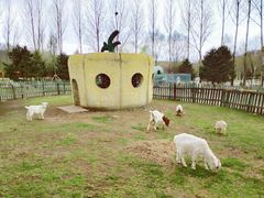 -哈尔滨北方森林动物园