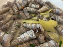 -华盛丰温州大排档(东三环南路店)