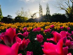 -国家植物园南园