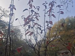 -窦大夫祠