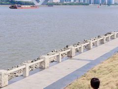 -喜洲吧·江畔老船厂·庭院餐厅(喜临院店)
