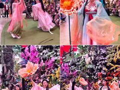 -正佳雨林生态植物园
