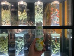 -广东中医药博物馆